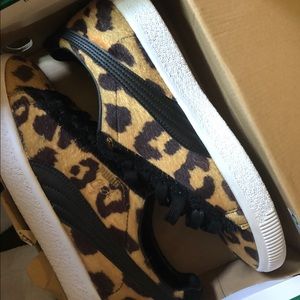 Cheetah pumas